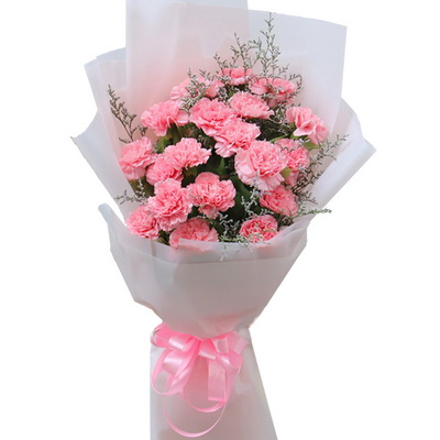 21朵粉色康乃馨