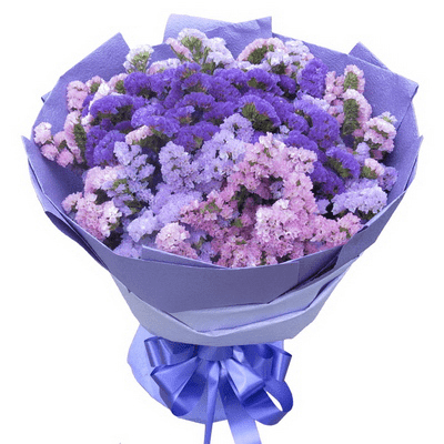 生日祝福勿忘我花束,生日祝福勿忘我花束价钱,生日祝福勿忘我花束哪家