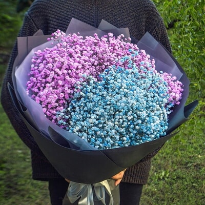 粉色蓝色满天星各一扎