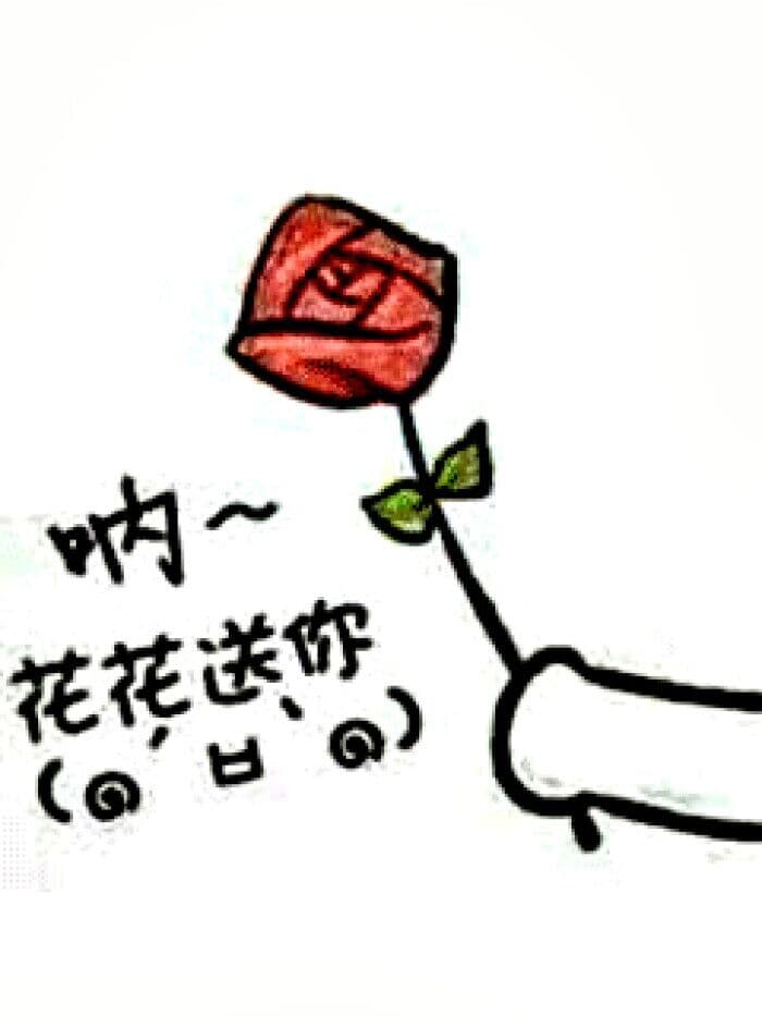 生日送什么花,喜欢的人过生日送什么花,51788鲜花