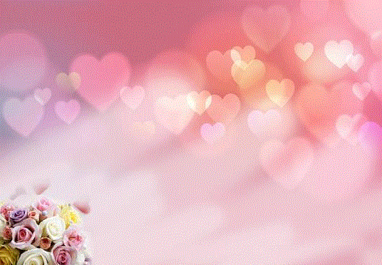 粉玫瑰花语 粉玫瑰花语33朵 517鲜花