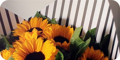 9支向日葵花束 9支向日葵花束价钱 9支向日葵花束哪家好 517鲜花